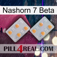 Rhino 7 Beta 25